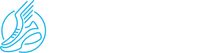 Smart-Buckle Laces